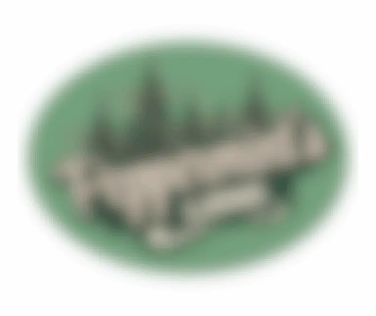 Logo blurred