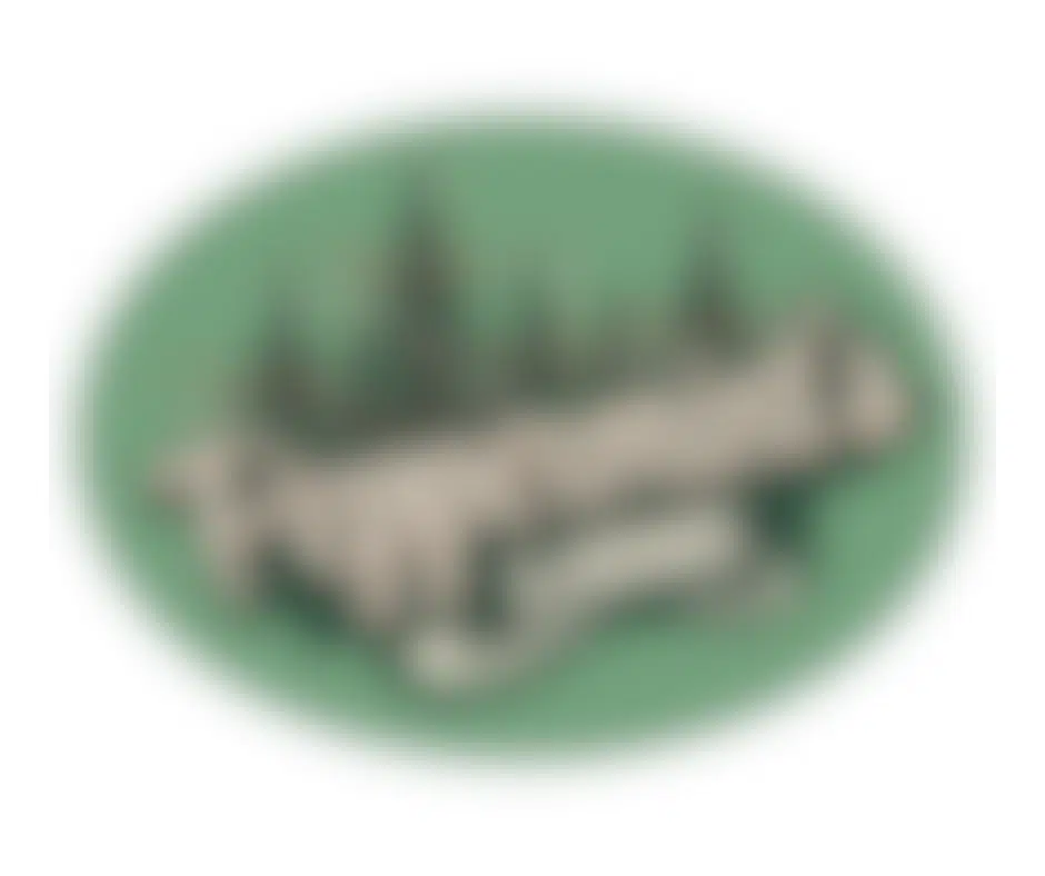 Logo blurred