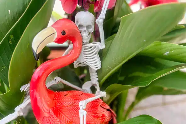 plastic skeleton on top of a plastic pink flamingo